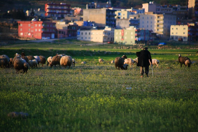 Yeşilli Dış Görünüm