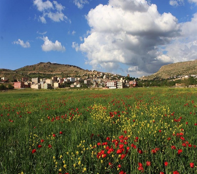 Yeşilli Dış Görünüm